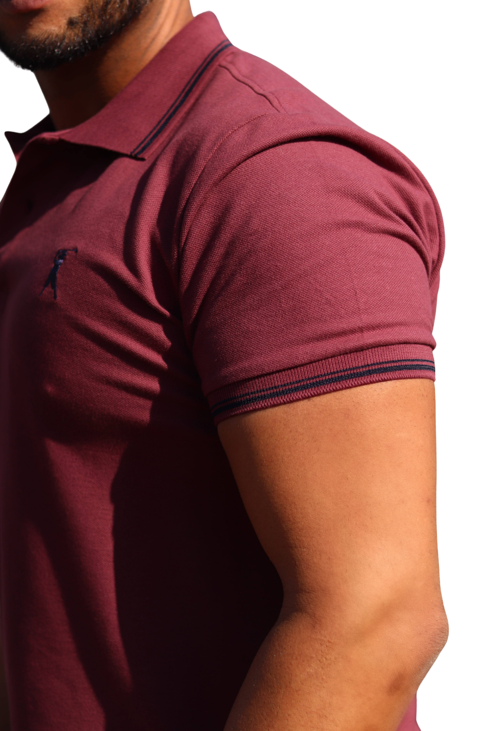 Camisa Polo Dois Frisos