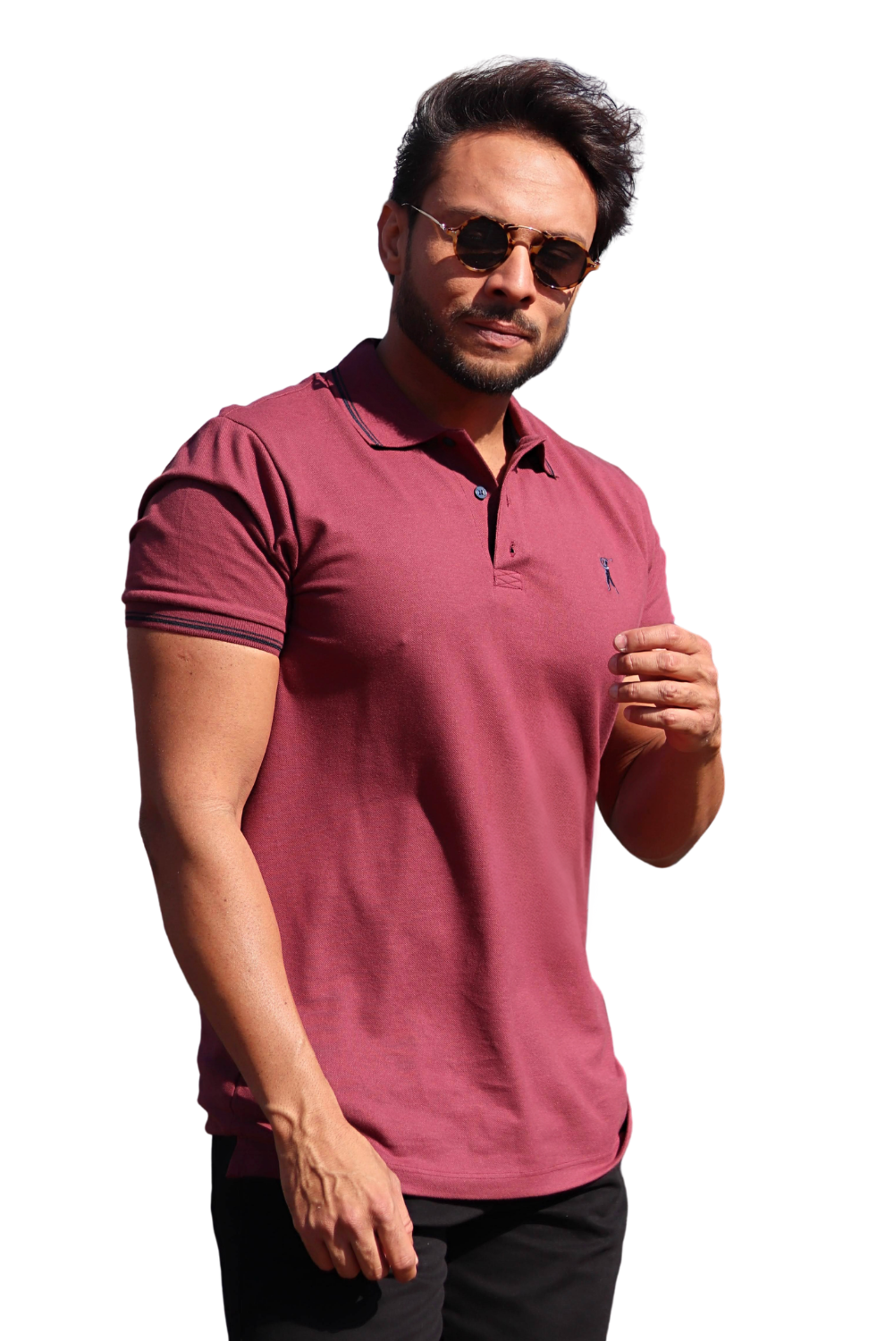Camisa Polo Dois Frisos